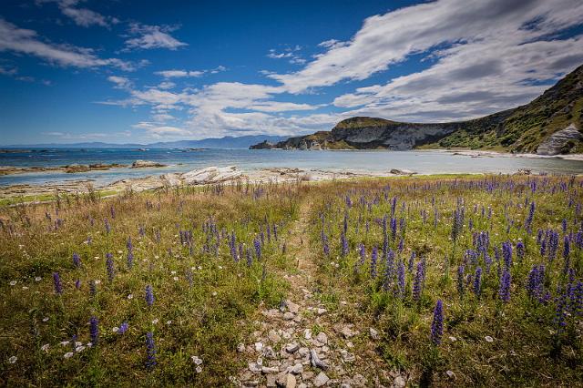 090 Kaikoura.jpg